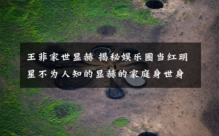 王菲家世显赫 揭秘娱乐圈当红明星不为人知的显赫的家庭身世身份背景,说出来吓人