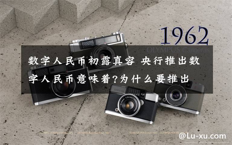 数字人民币初露真容 央行推出数字人民币意味着?为什么要推出