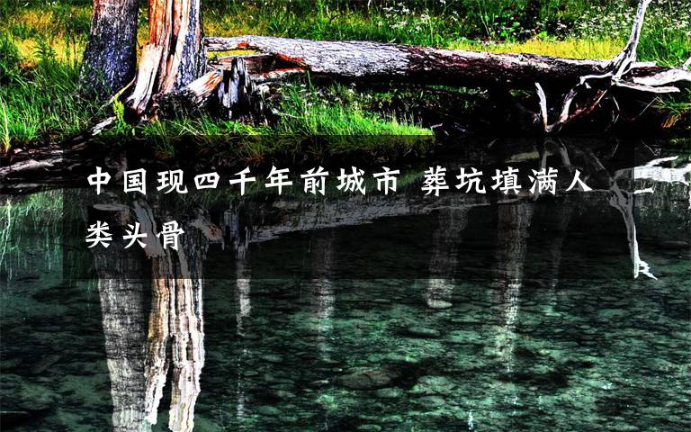 中国现四千年前城市 葬坑填满人类头骨