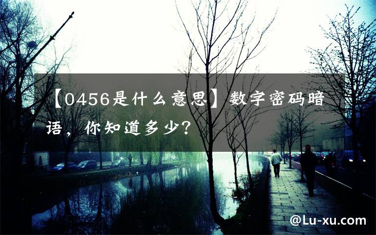 【0456是什么意思】数字密码暗语，你知道多少？