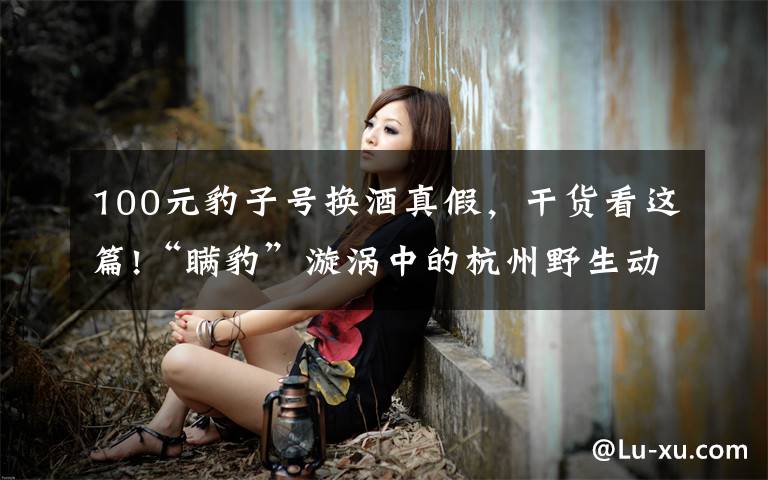 100元豹子号换酒真假,干货看这篇!“瞒豹”漩涡中的杭州野生动物世界:有人称5月1日就看到外逃豹子