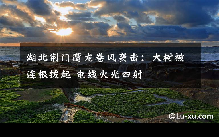 湖北荆门遭龙卷风袭击:大树被连根拔起 电线火光四射