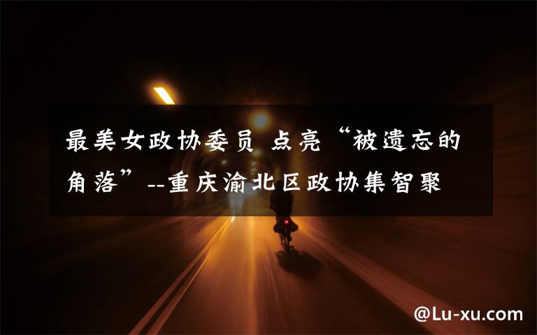 最美女政协委员 点亮“被遗忘的角落”--重庆渝北区政协集智聚力助推“美丽乡村”建设纪实