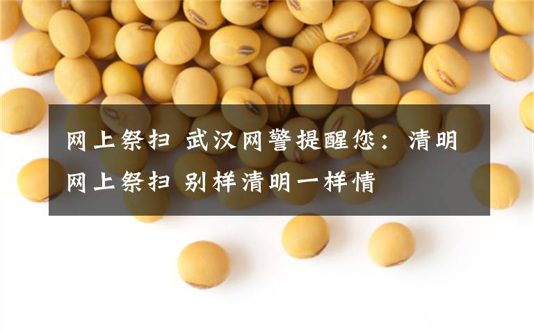 网上祭扫 武汉网警提醒您：清明网上祭扫 别样清明一样情