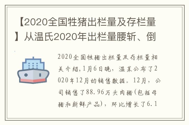 【2020全国牲猪出栏量及存栏量】从温氏2020年出栏量腰斩、倒退7年看当前猪价,猪坚强依然在