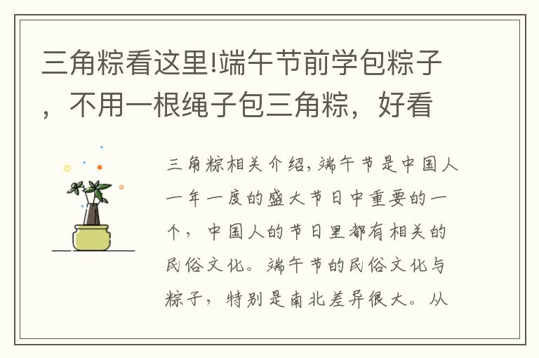 三角粽看这里!端午节前学包粽子,不用一根绳子包三角粽,好看又扎实