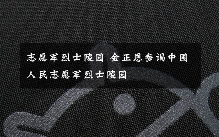 志愿军烈士陵园 金正恩参谒中国人民志愿军烈士陵园