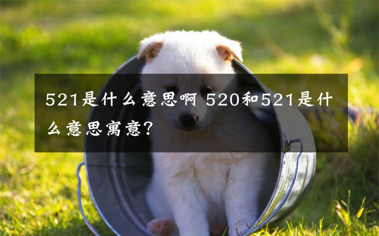521是什么意思啊 520和521是什么意思寓意?