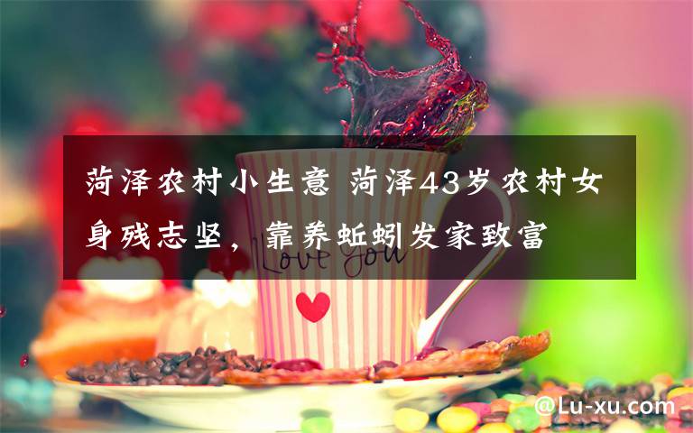 菏泽农村小生意 菏泽43岁农村女身残志坚,靠养蚯蚓发家致富