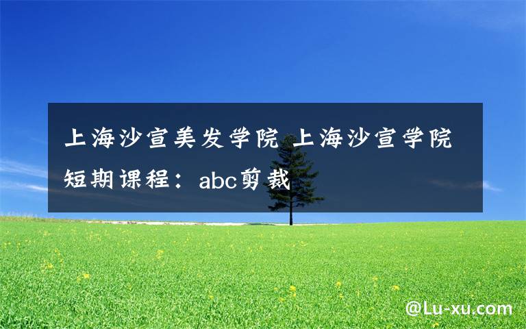 上海沙宣美发学院 上海沙宣学院短期课程:abc剪裁