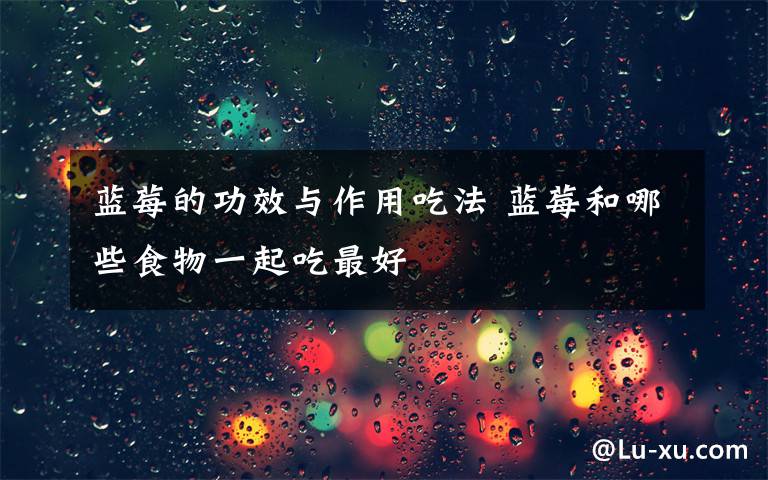 蓝莓的功效与作用吃法 蓝莓和哪些食物一起吃最好