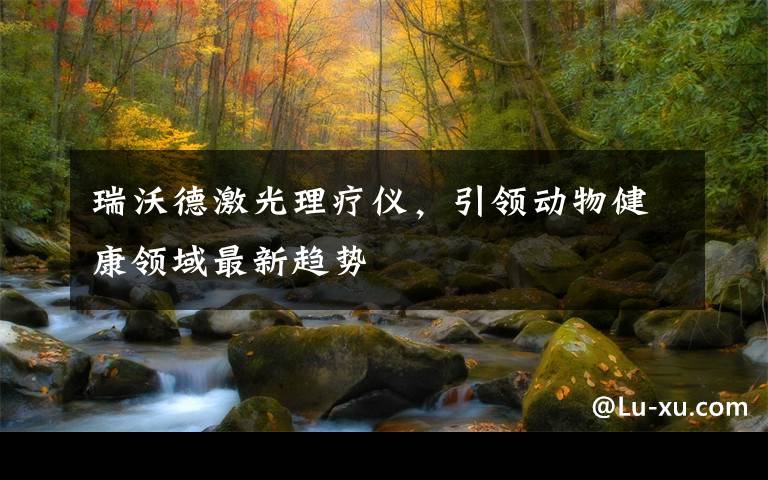 瑞沃德激光理疗仪，引领动物健康领域最新趋势