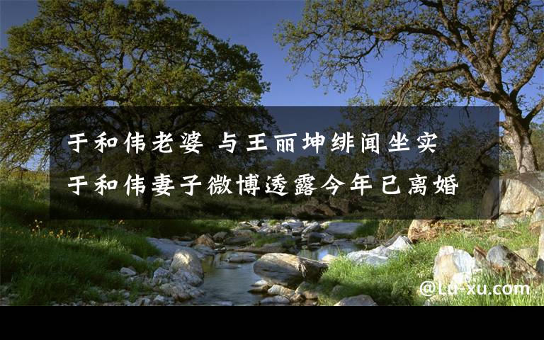 于和伟老婆 与王丽坤绯闻坐实 于和伟妻子微博透露今年已离婚