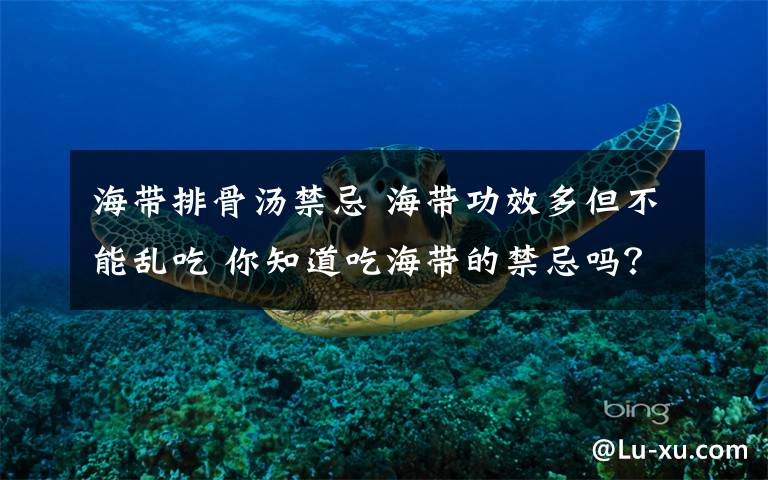 海带排骨汤禁忌 海带功效多但不能乱吃 你知道吃海带的禁忌吗?