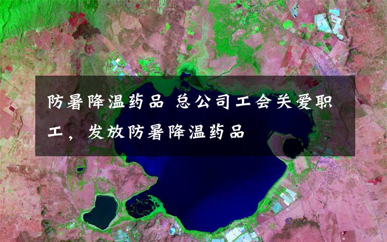 防暑降温药品 总公司工会关爱职工，发放防暑降温药品