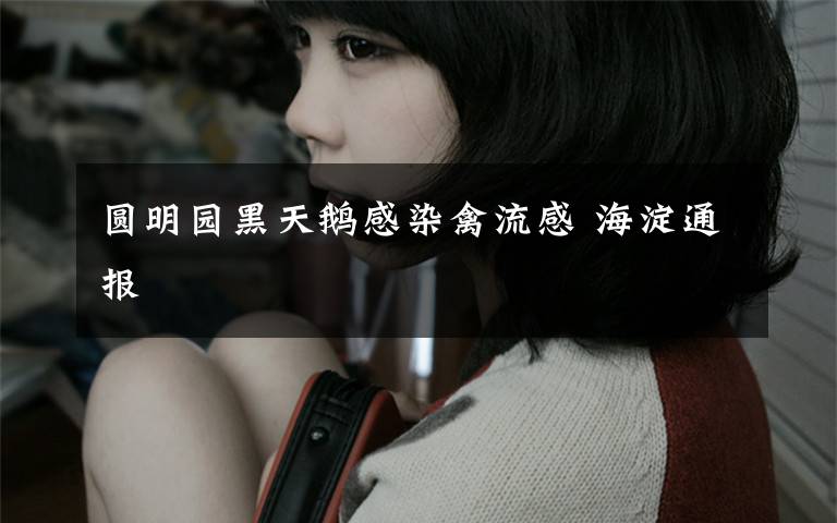 圆明园黑天鹅感染禽流感 海淀通报