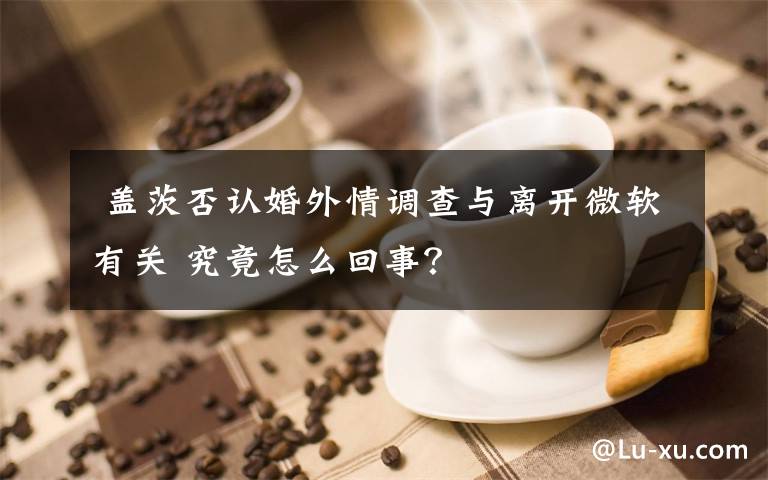 盖茨否认婚外情调查与离开微软有关 究竟怎么回事?