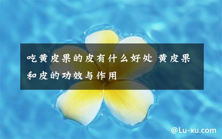 吃黄皮果的皮有什么好处 黄皮果和皮的功效与作用