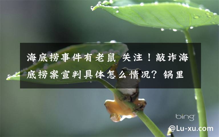 海底捞事件有老鼠 关注!敲诈海底捞案宣判具体怎么情况?锅里死老鼠哪来的