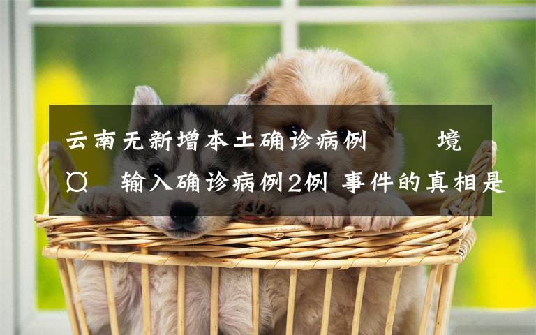 云南无新增本土确诊病例   境外输入确诊病例2例 事件的真相是什么?