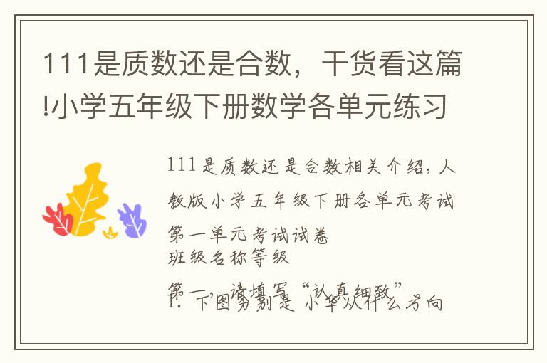 111是质数还是合数,干货看这篇!小学五年级下册数学各单元练习题
