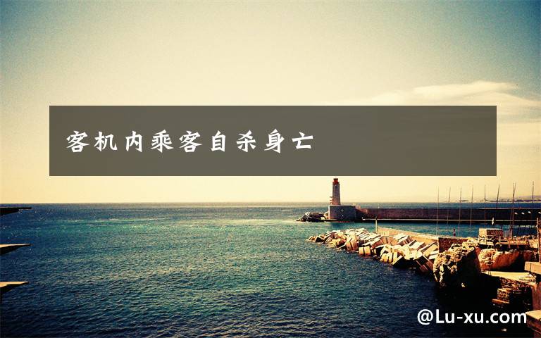 客机内乘客自杀身亡