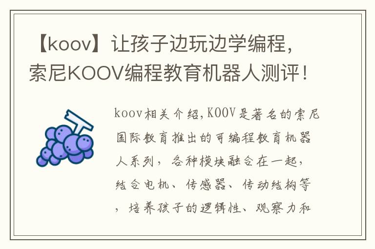 【koov】让孩子边玩边学编程,索尼KOOV编程教育机器人测评!