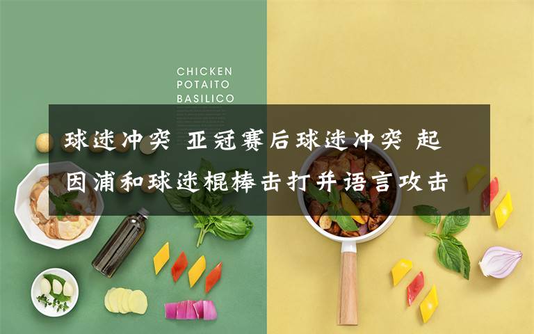 球迷冲突 亚冠赛后球迷冲突 起因浦和球迷棍棒击打并语言攻击中国球迷