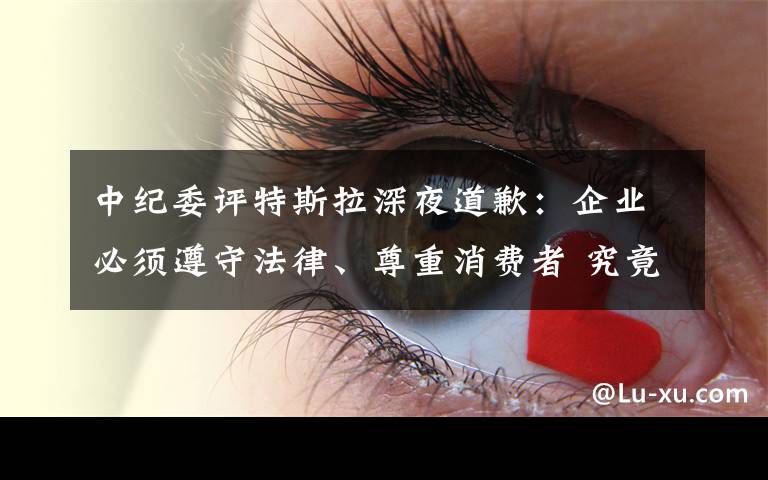 中纪委评特斯拉深夜道歉:企业必须遵守法律、尊重消费者 究竟发生了什么?