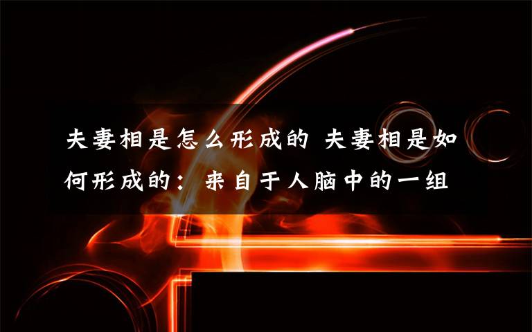 夫妻相是怎么形成的 夫妻相是如何形成的:来自于人脑中的一组神经细胞