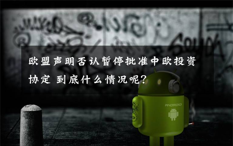 欧盟声明否认暂停批准中欧投资协定 到底什么情况呢?
