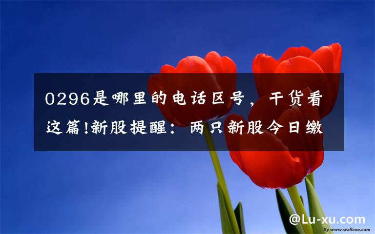 0296是哪里的电话区号,干货看这篇!新股提醒:两只新股今日缴款 20家公司IPO或遭暂停