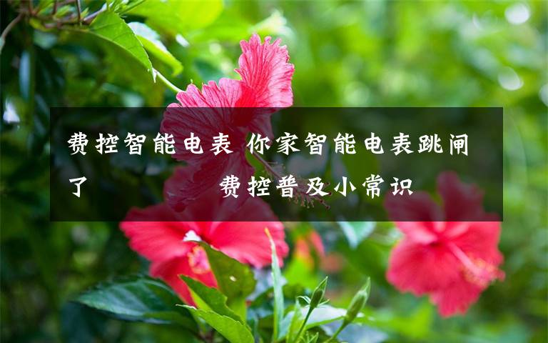 费控智能电表 你家智能电表跳闸了―――― 费控普及小常识