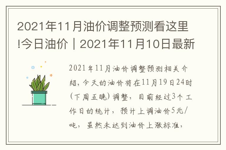 2021年11月油价调整预测看这里!今日油价|2021年11月10日最新油价,92、95汽油与0号柴油价格
