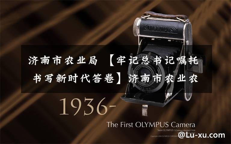 济南市农业局 【牢记总书记嘱托 书写新时代答卷】济南市农业农村局局长曹军:在打造乡村振兴齐鲁样板中干在实处走在前列