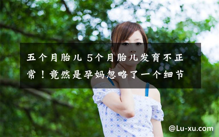 五个月胎儿 5个月胎儿发育不正常!竟然是孕妈忽略了一个细节