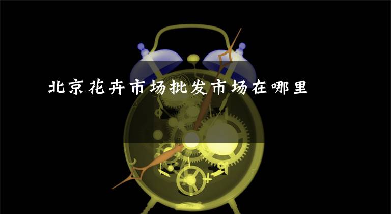 北京花卉市场批发市场在哪里