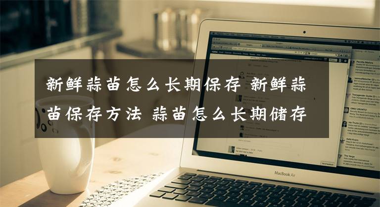 新鲜蒜苗怎么长期保存 新鲜蒜苗保存方法 蒜苗怎么长期储存