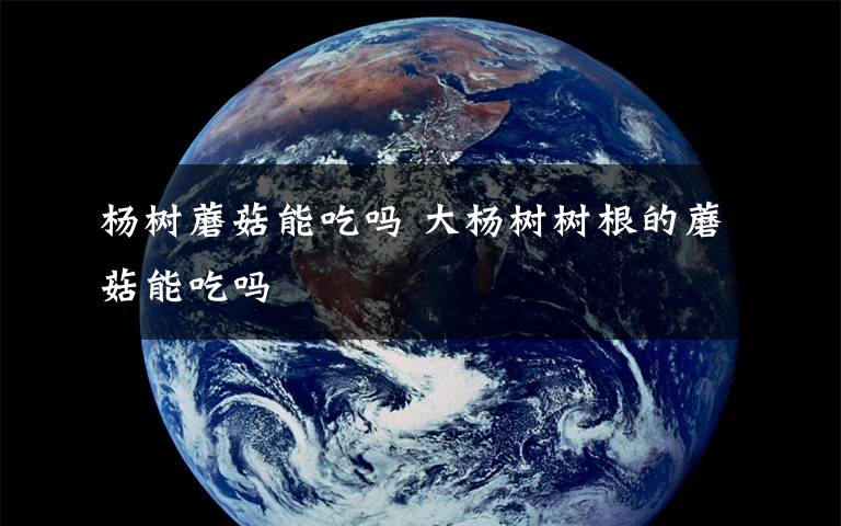 杨树蘑菇能吃吗 大杨树树根的蘑菇能吃吗