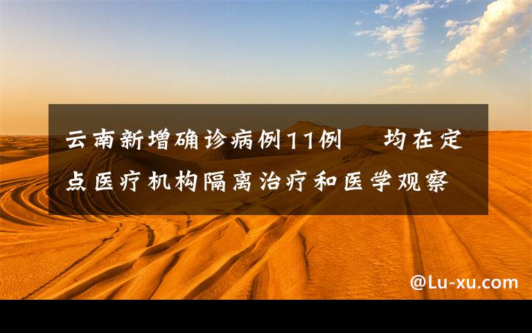 云南新增确诊病例11例  均在定点医疗机构隔离治疗和医学观察 还原事发经过及背后原因!