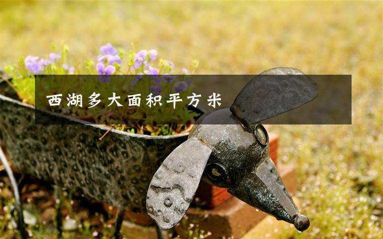 西湖多大面积平方米