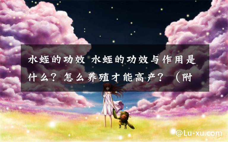 水蛭的功效 水蛭的功效与作用是什么?怎么养殖才能高产?(附水蛭的人工繁殖技术)