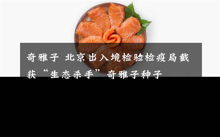奇雅子 北京出入境检验检疫局截获“生态杀手”奇雅子种子