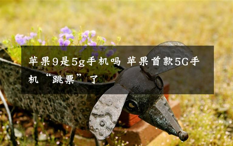 苹果9是5g手机吗 苹果首款5G手机“跳票”了