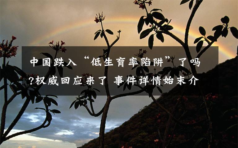 中国跌入“低生育率陷阱”了吗?权威回应来了 事件详情始末介绍!