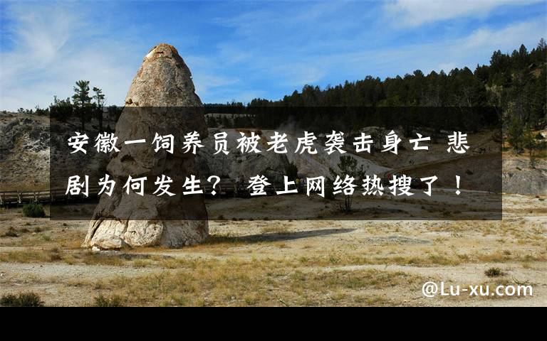安徽一饲养员被老虎袭击身亡 悲剧为何发生？ 登上网络热搜了！
