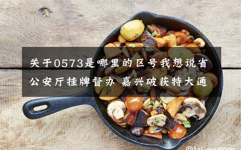 关于0573是哪里的区号我想说省公安厅挂牌督办 嘉兴破获特大通信网络诈骗案