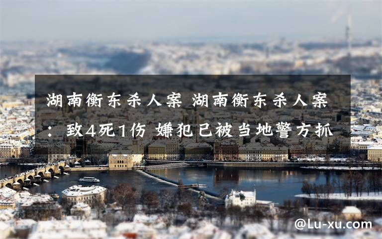 湖南衡东杀人案 湖南衡东杀人案：致4死1伤 嫌犯已被当地警方抓捕归案