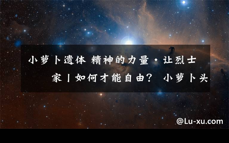 小萝卜遗体 精神的力量·让烈士回家丨如何才能自由？ 小萝卜头的回答令人心酸流泪