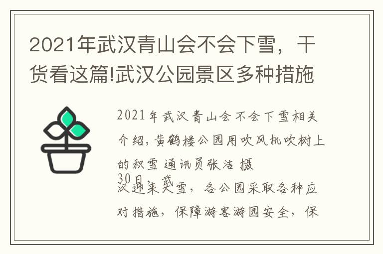 2021年武汉青山会不会下雪,干货看这篇!武汉公园景区多种措施应对雪天:吹风机吹树叶、给化石开暖气